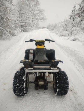 Yamaha Warrior, снимка 3