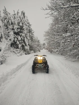 Yamaha Warrior, снимка 6
