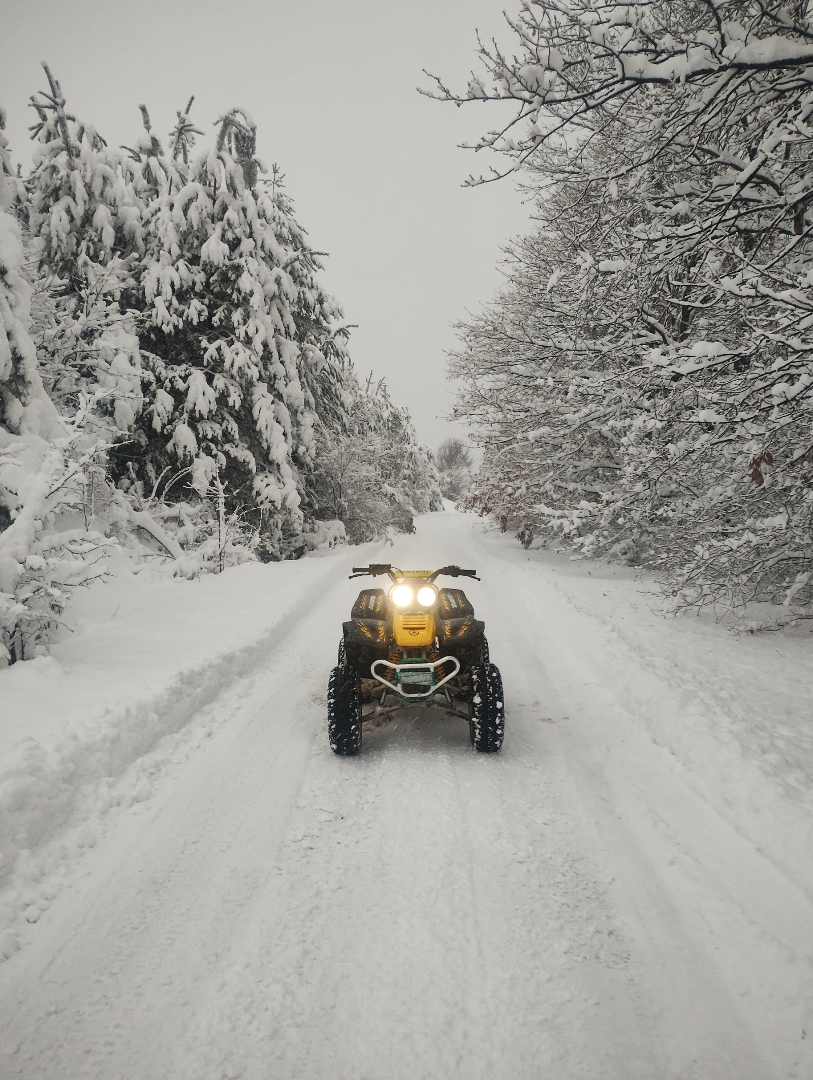 Yamaha Warrior, снимка 6 - Мотоциклети и мототехника - 53962126