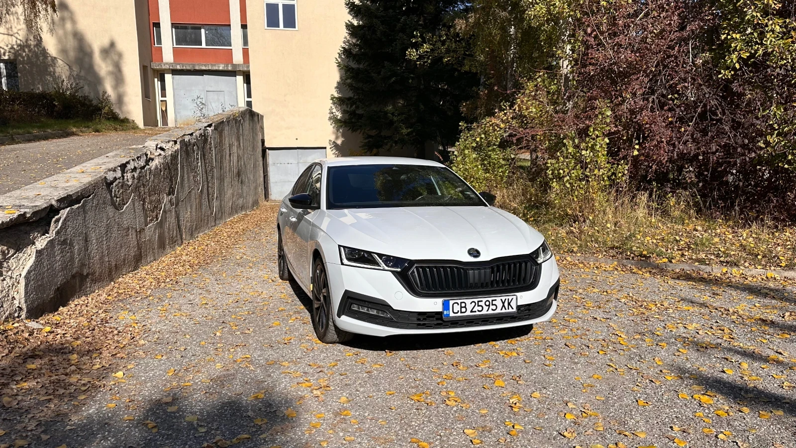 Skoda Octavia IV 1.5 TSI mHEV, 7-. DSG,  Edition | Mobile.bg   12