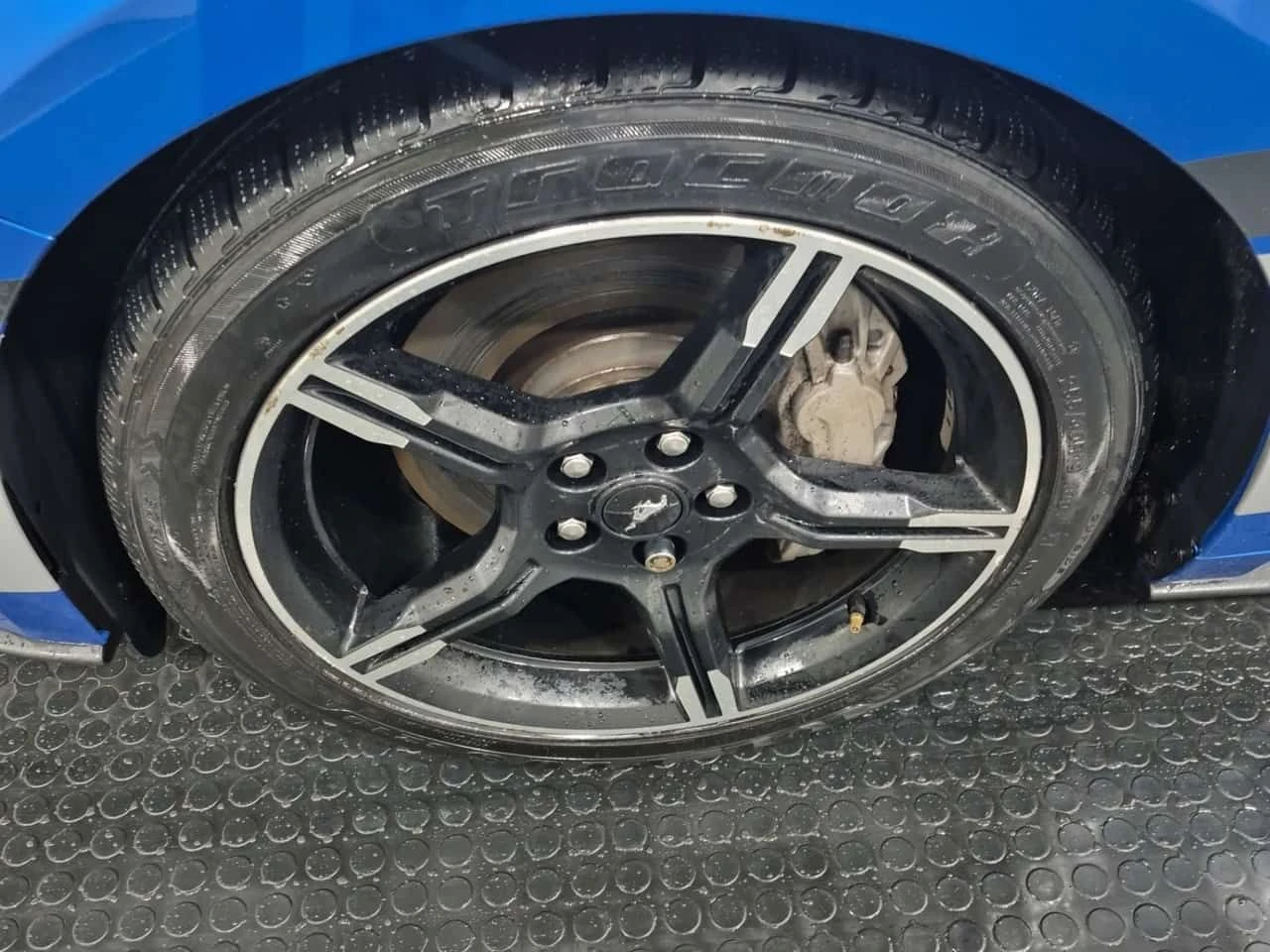 Ford Mustang * ECOBOOST * CARFAX * ���������* 2 ����� | Mobile.bg � ����������� 17