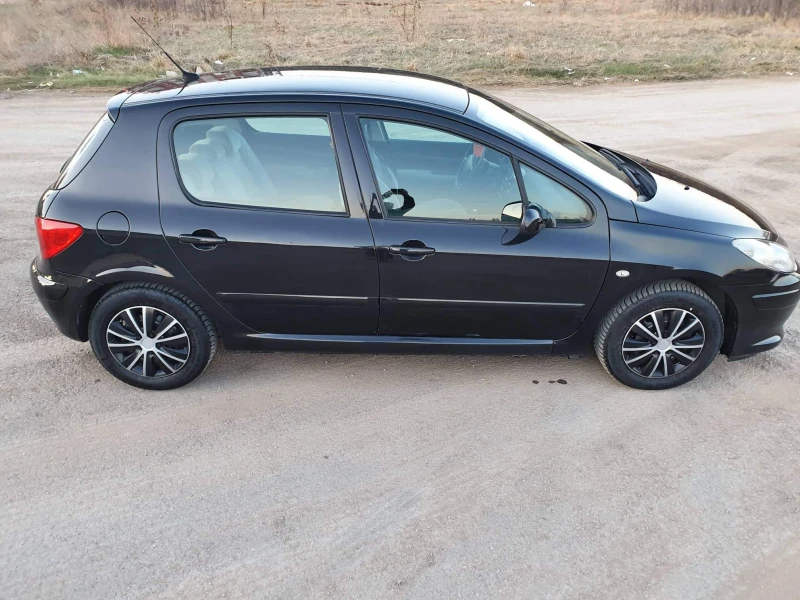 Peugeot 307 1.6 GAS, снимка 4 - Автомобили и джипове - 52500511