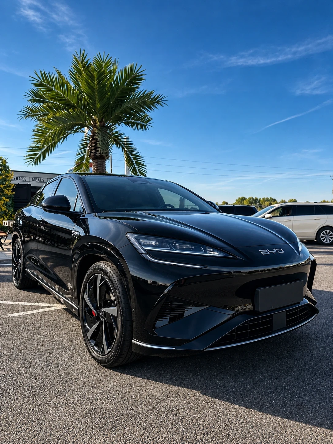 BYD Sealion 7