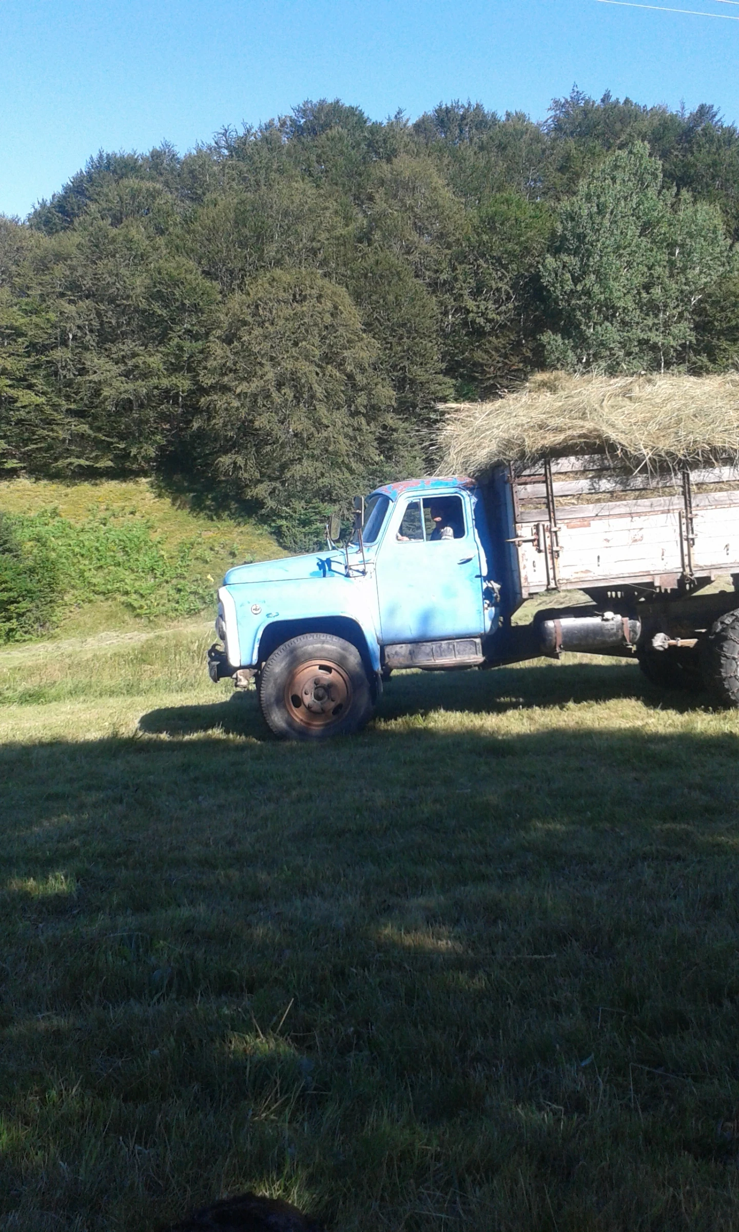 Gaz 53