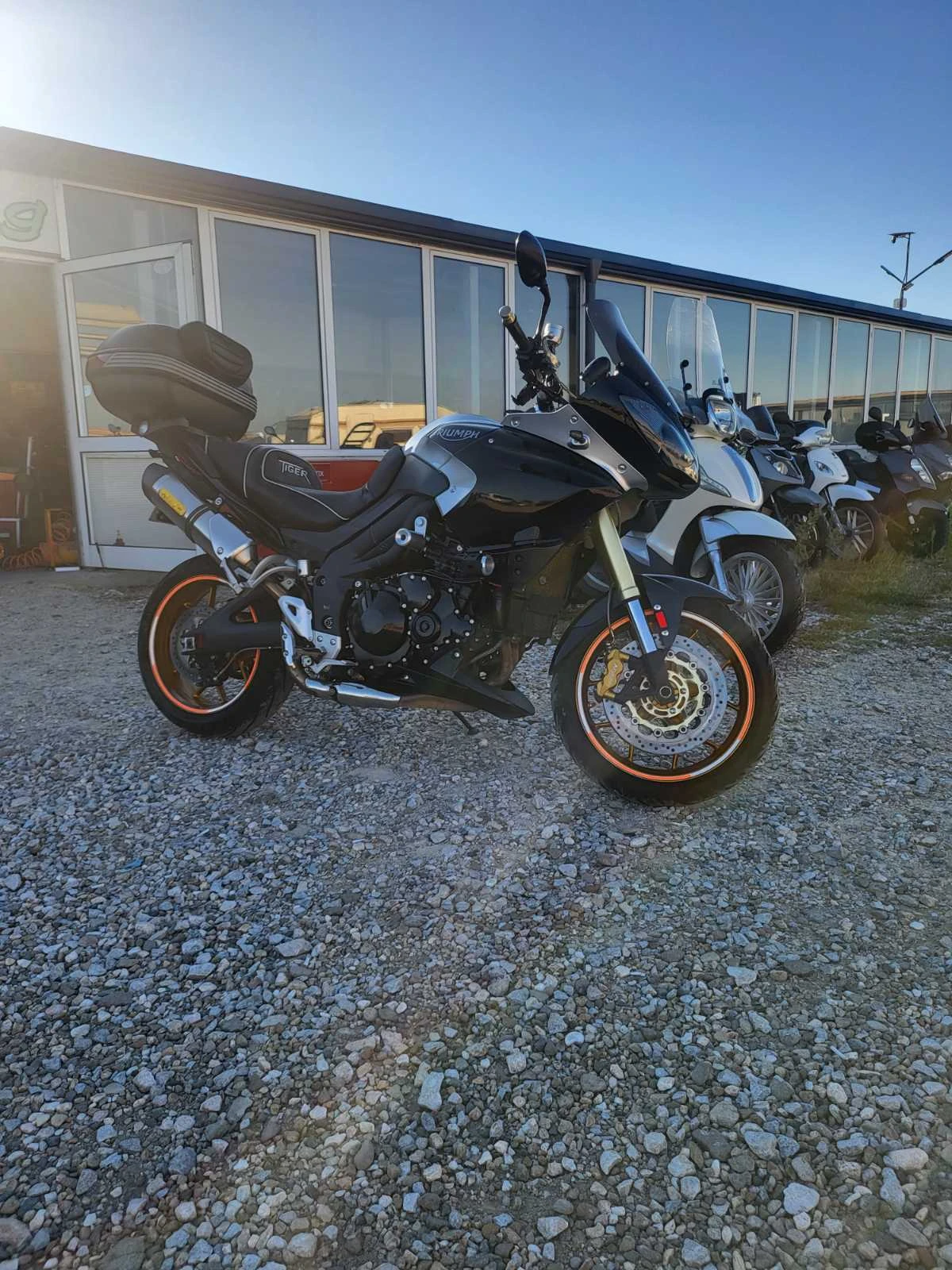 Triumph Tiger Лизинг Бартер