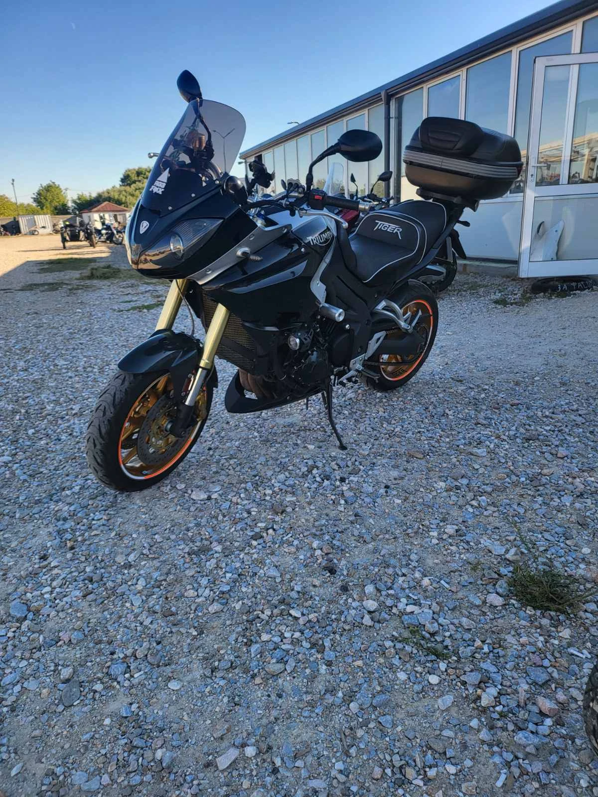 Triumph Tiger ������ ������ | Mobile.bg � ����������� 4