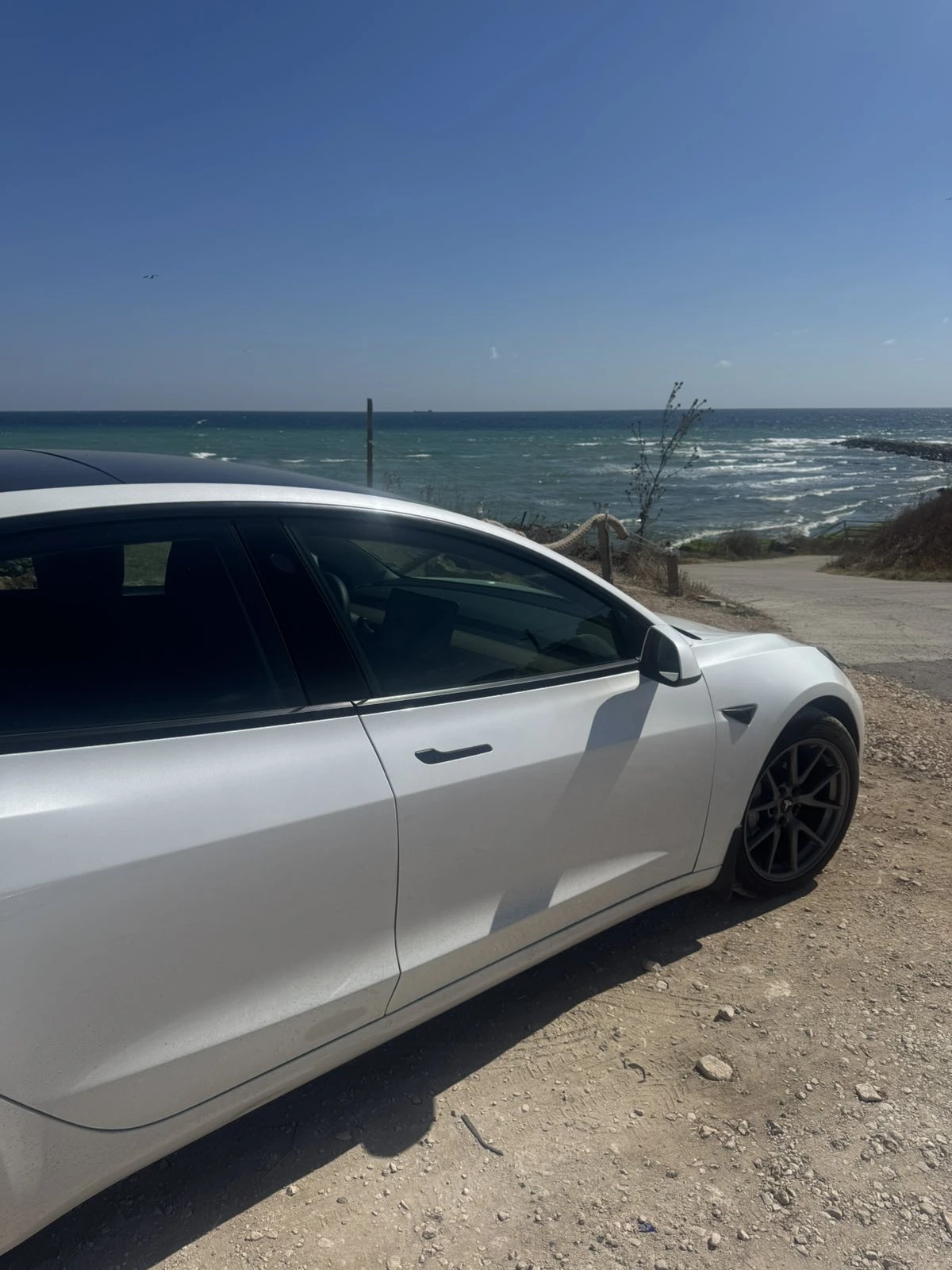 Tesla Model 3 Dual Motor LR, снимка 13 - Автомобили и джипове - 54840303