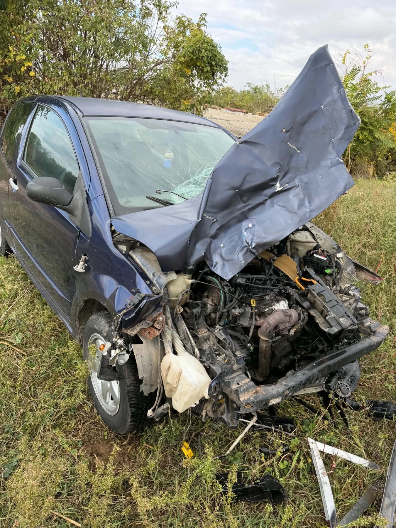 Citroen C2 1.4 HDI, снимка 2 - Автомобили и джипове - 56571195