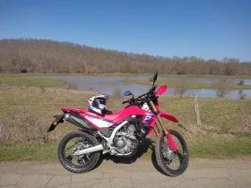 ����� �� �������� �� Honda Crf 300L