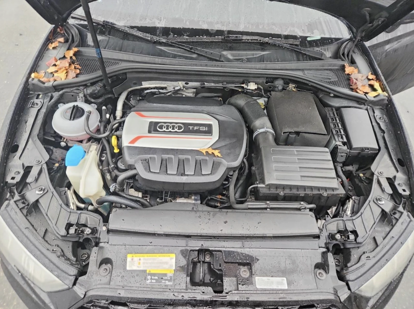 Audi S3 PREMIUM PLUS SHADOW LINE  | Mobile.bg � ����������� 11