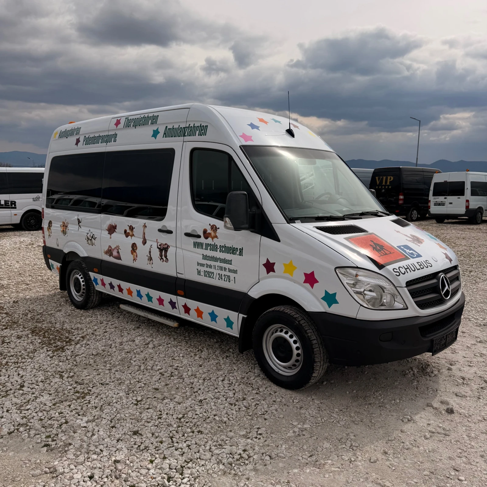 Mercedes-Benz Sprinter 316 РАМПА-9местен-Климатик-Печка, снимка 2 - Бусове и автобуси - 53913941