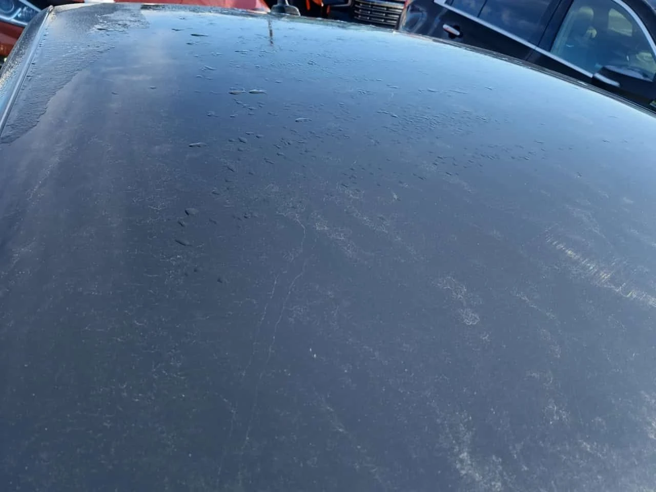 VW Passat TRENDLINE+ * CARFAX * БЕЗ ПЪРВОНАЧАЛНА ВНОСКА - изображение 5