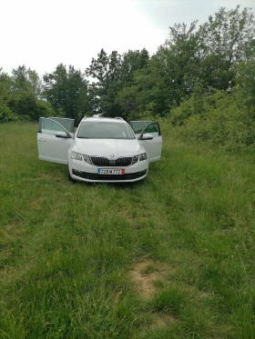 Skoda Octavia | Mobile.bg    15