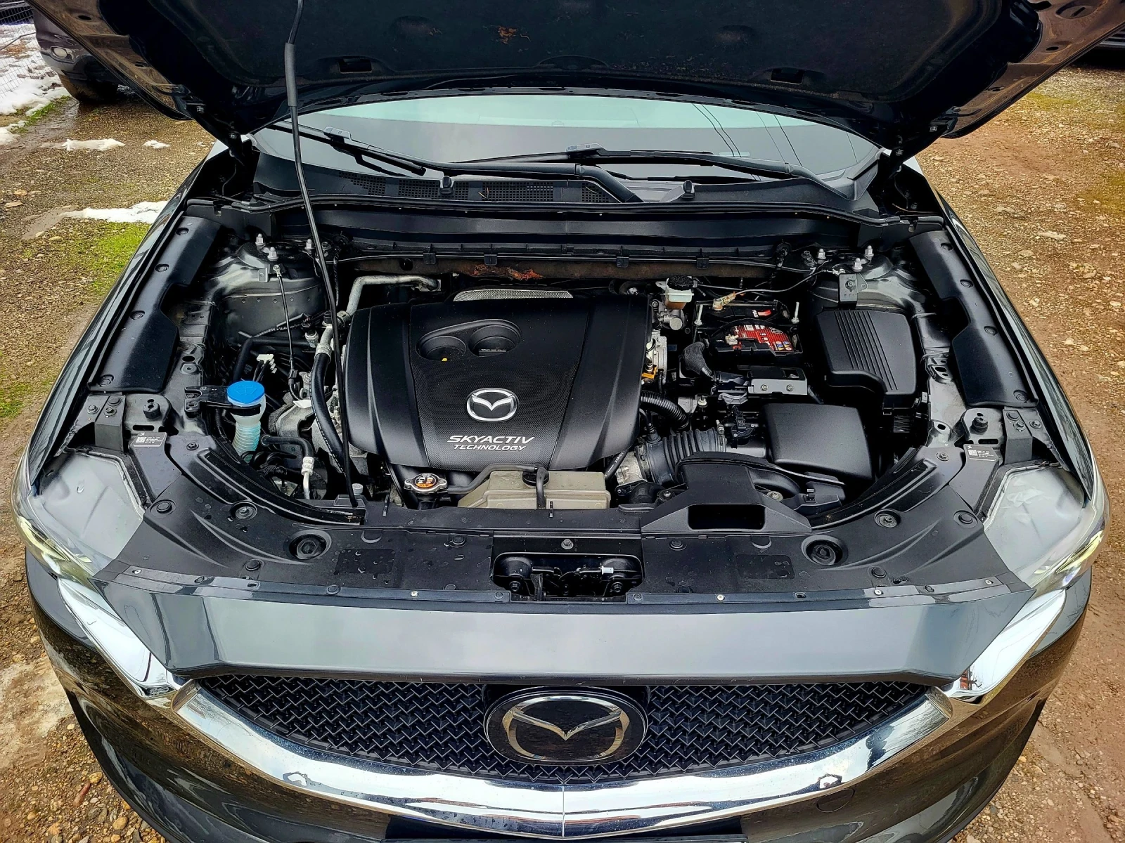 Mazda CX-5 2.5i AWD / 73 600 ��. / ������ �������  | Mobile.bg � ����������� 17