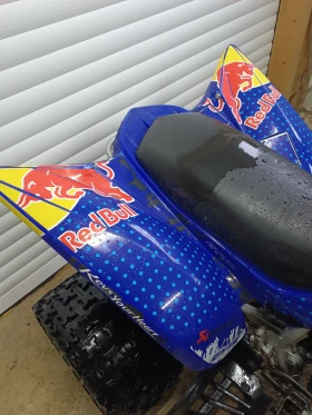 Yamaha Raptor 2006, снимка 7