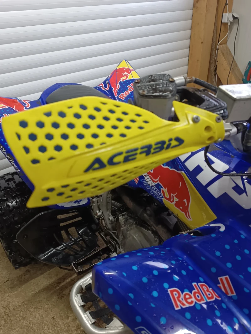 Yamaha Raptor 2006, снимка 14 - Мотоциклети и мототехника - 50708021