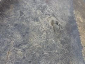 Гуми, снимка 3