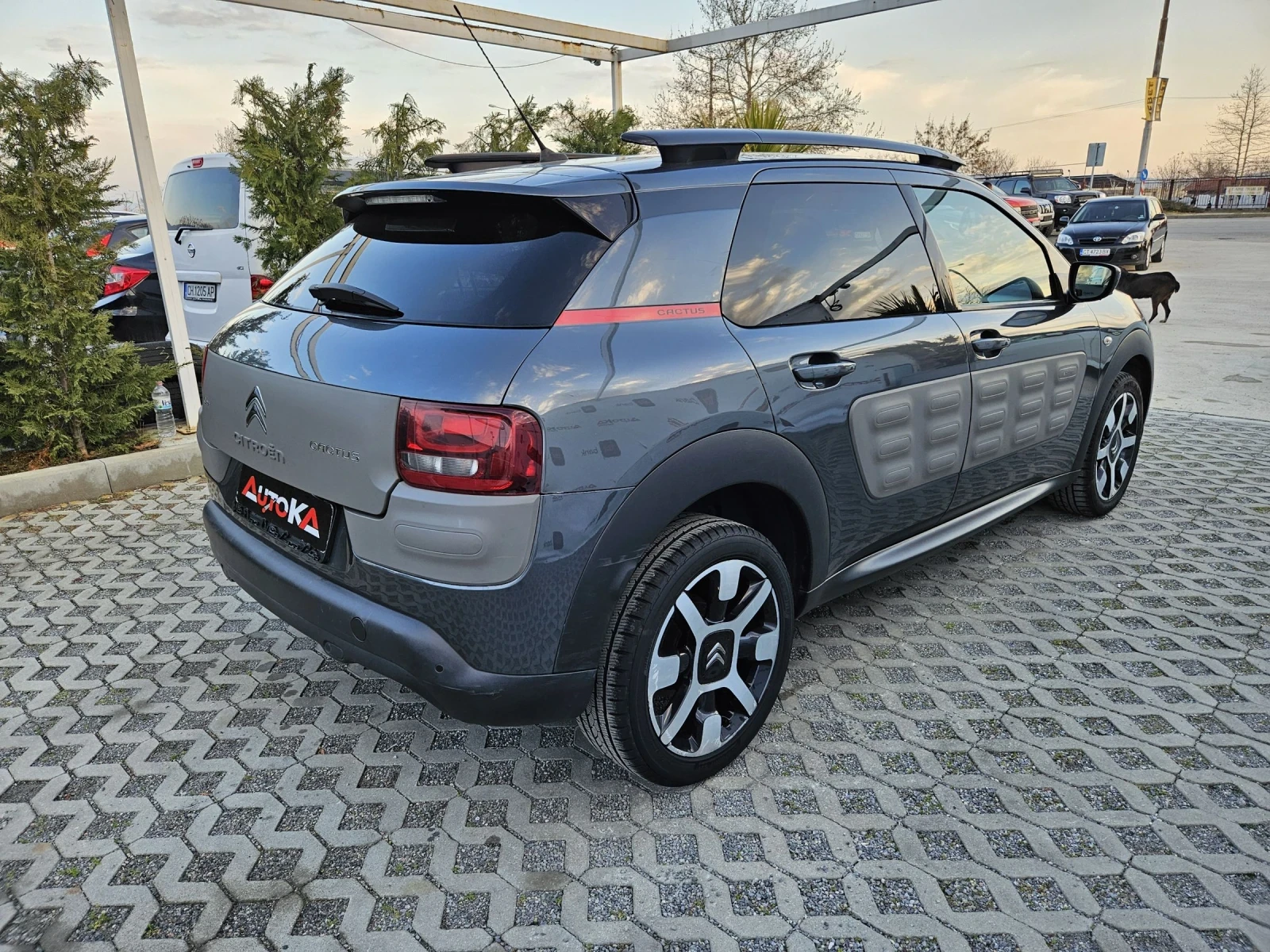 Citroen C4 Cactus 1.6HDI-92кс= АВТОМАТ= ПАНОРАМА= КАМЕРА= НАВИ - изображение 3