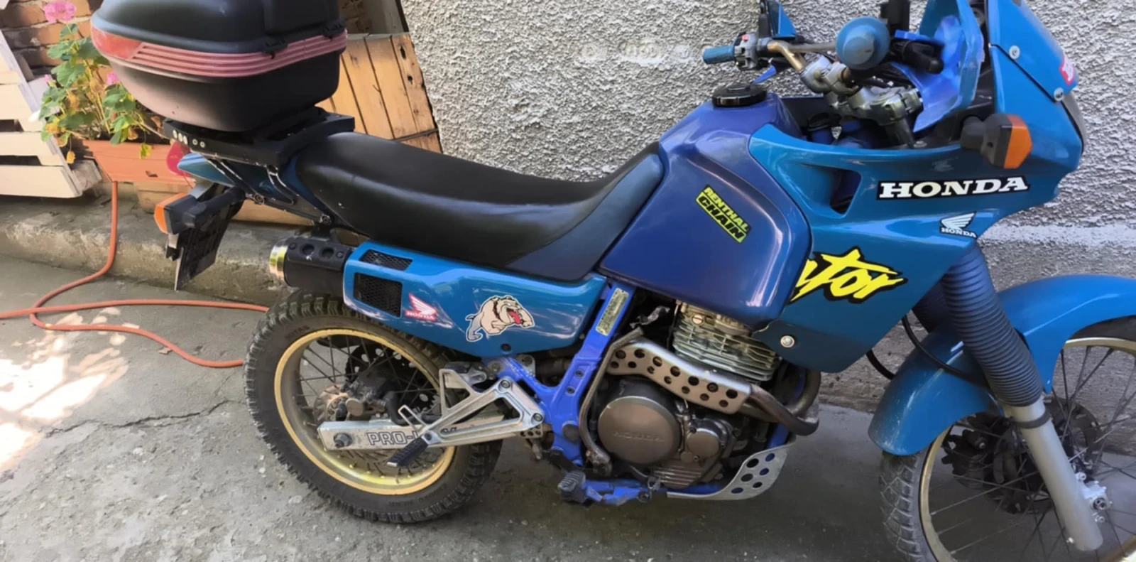Honda Nx 650 - изображение 2