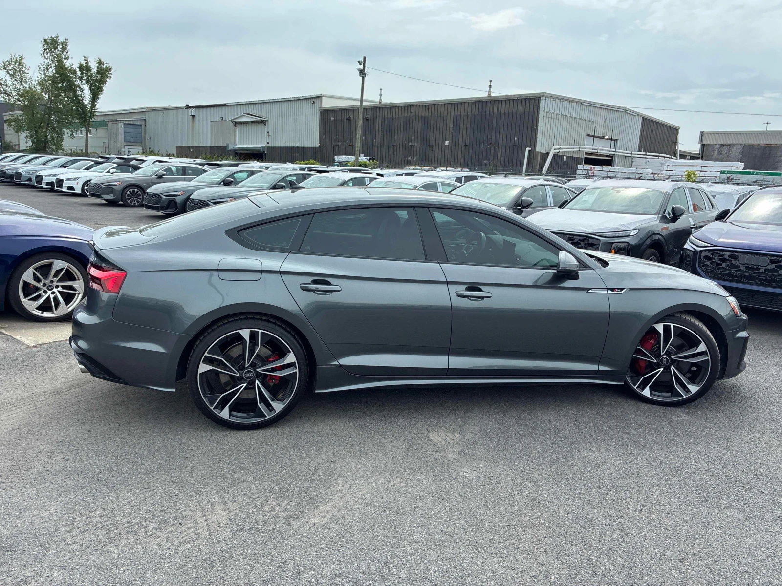 Audi S5  TECHNIK / DISTRONIC / 360 / PANORAMA , снимка 4 - Автомобили и джипове - 55939572