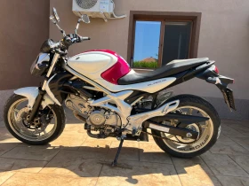     Suzuki Gladius