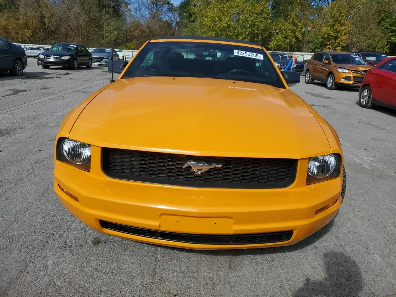 Ford Mustang 4l, снимка 5 - Автомобили и джипове - 54002107
