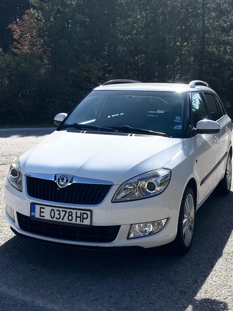 Skoda Fabia 1.6TDI 2012г НОВ ВНОС ВСИЧКО ПЛАТЕНО , снимка 2 - Автомобили и джипове - 47696364