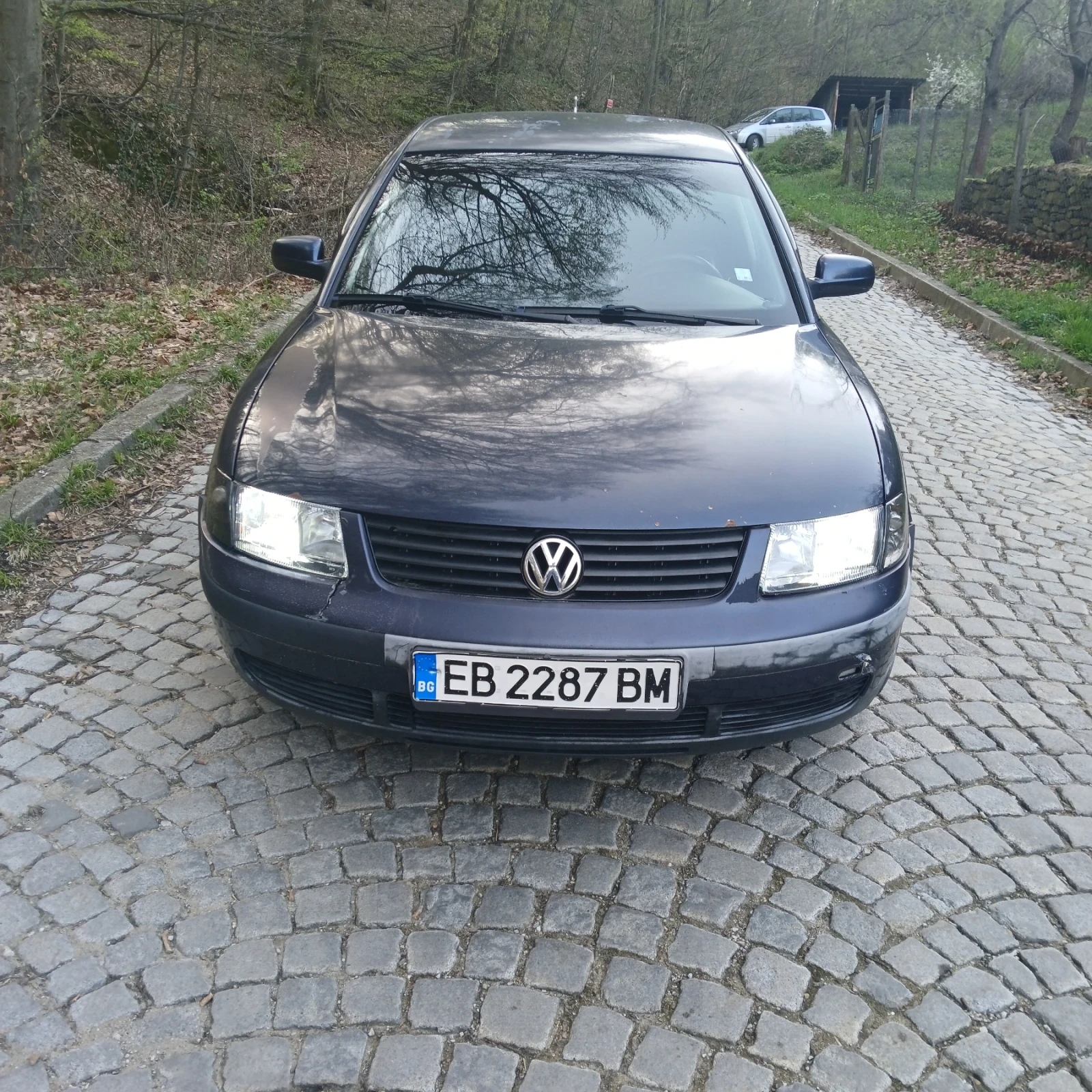 VW Passat
