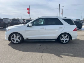 Mercedes-Benz ML 550 * ЦЕНА ДО БЪЛГАРИЯ * (CARFAX) - 25999 лв. - 61212639 3