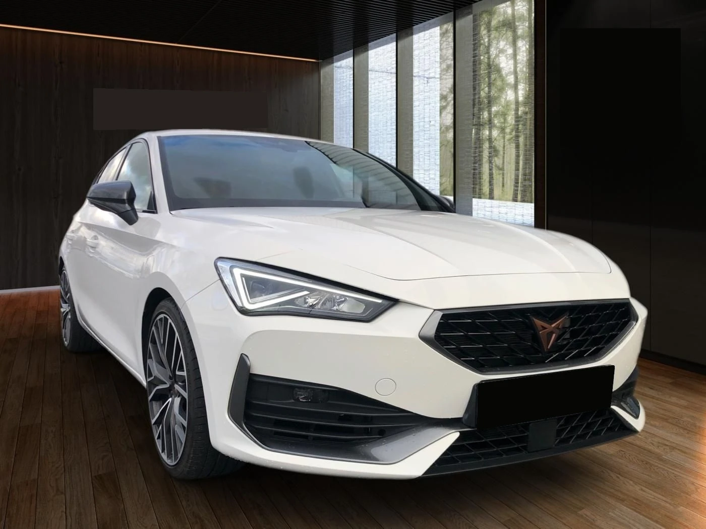 Cupra Born *LEON*VZ*2.0TSI*DSG*LED*NAVI* - изображение 4