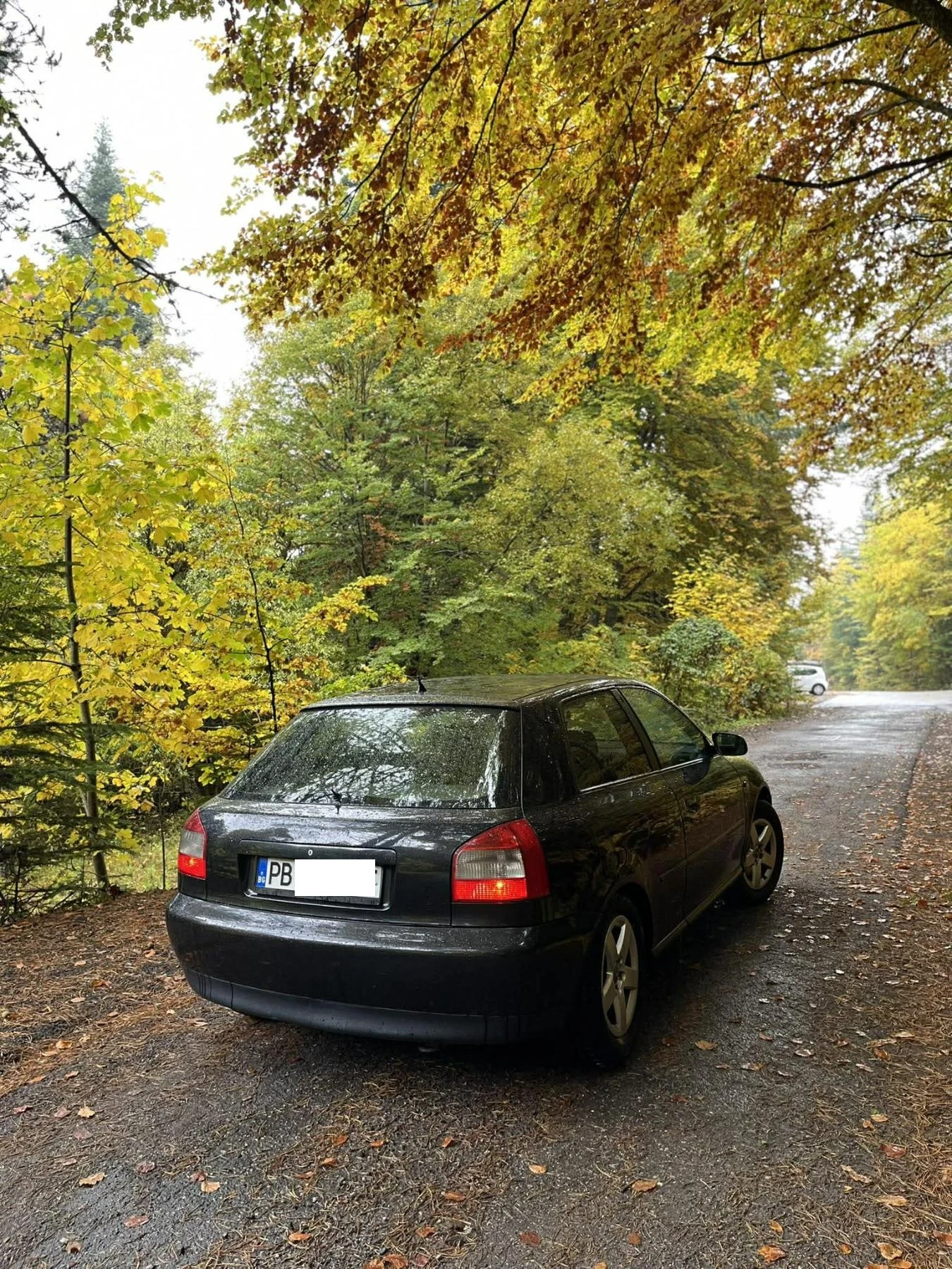 Audi A3 undefined | Auto.bg — изображение 1