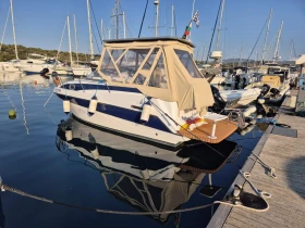       Bayliner