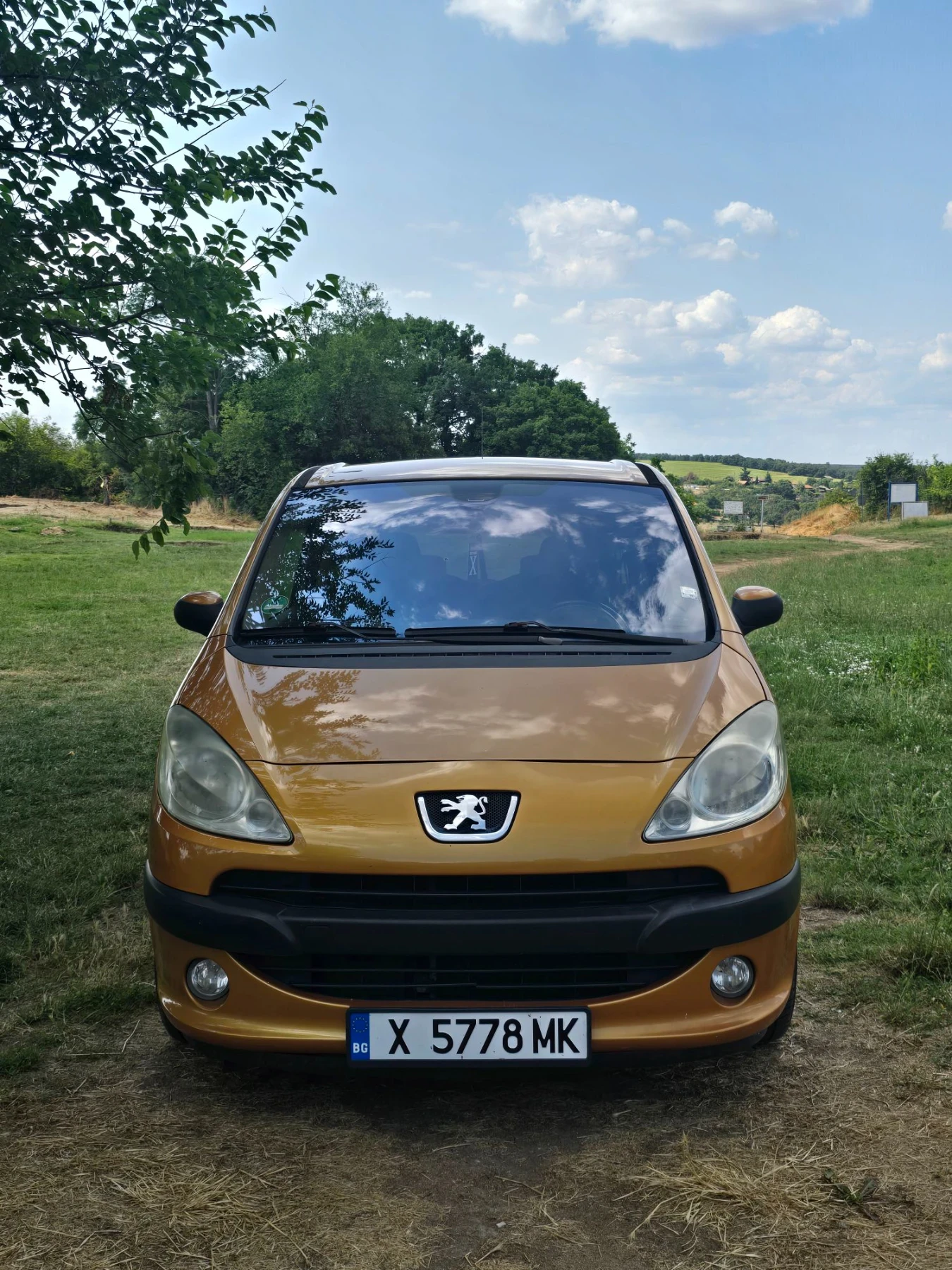 Peugeot 1007, снимка 2 - Автомобили и джипове - 55632501