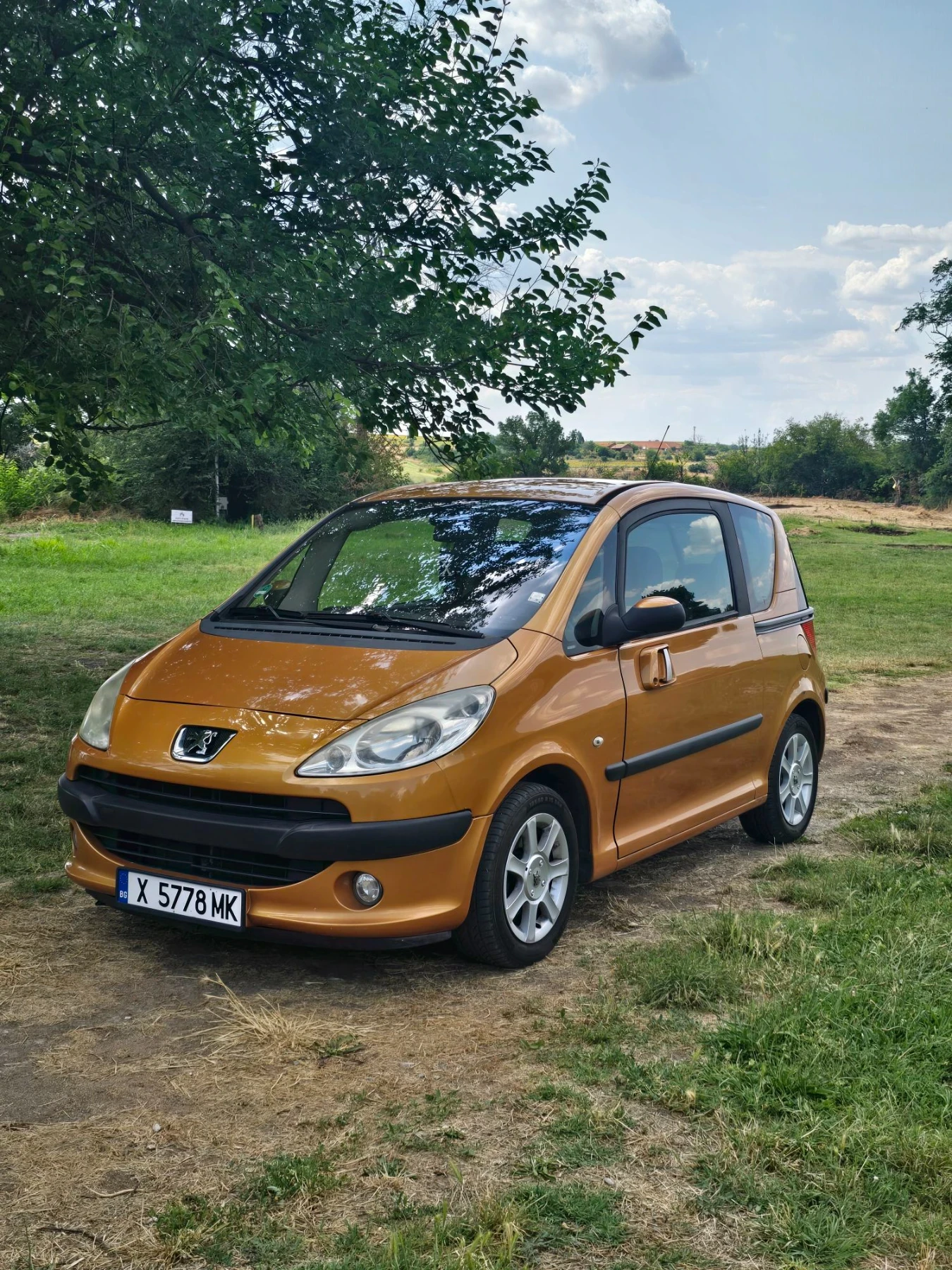 Peugeot 1007