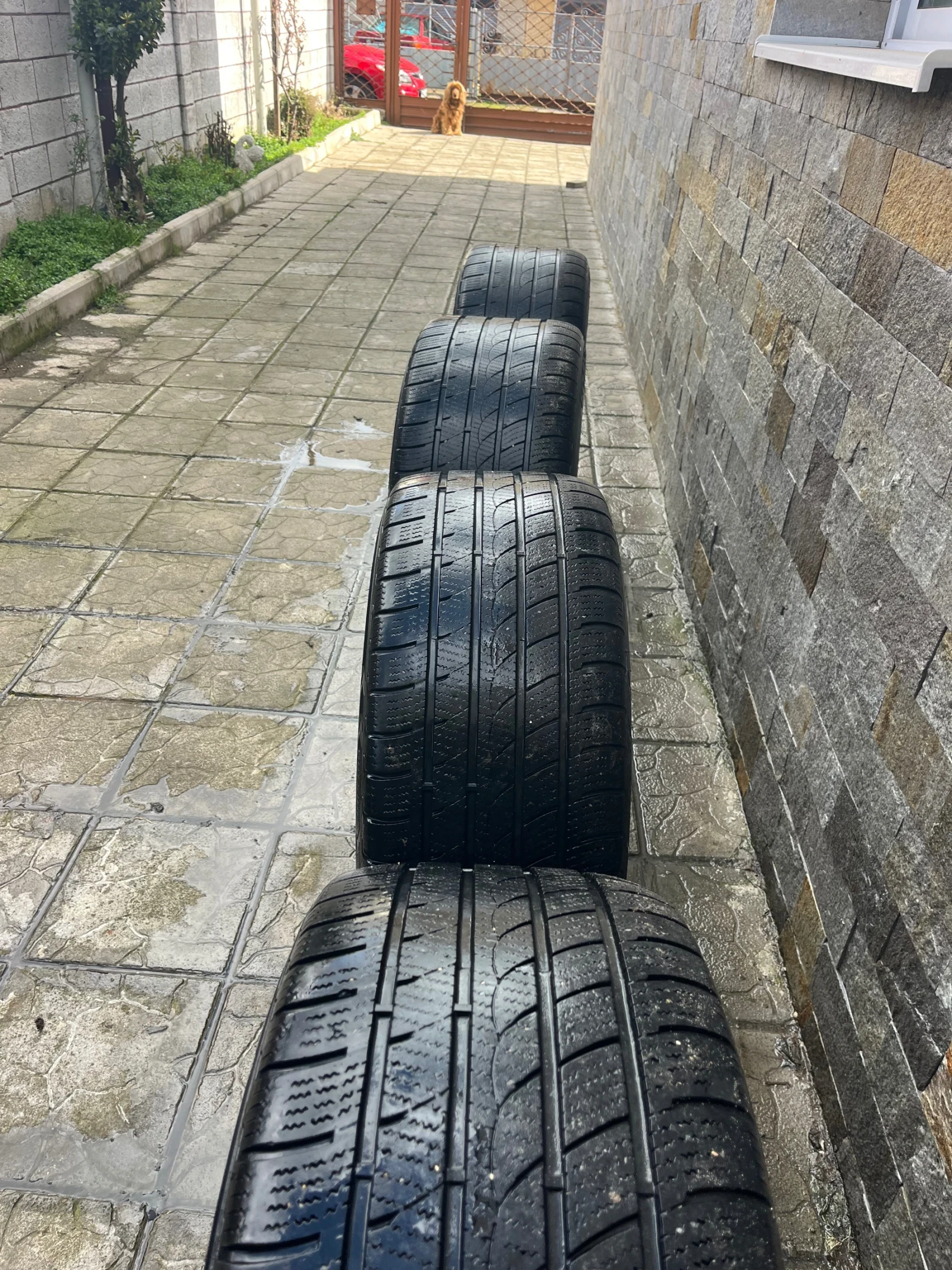 ���� � ������ 315/35R20 �� BMW X6 | Mobile.bg � ����������� 7