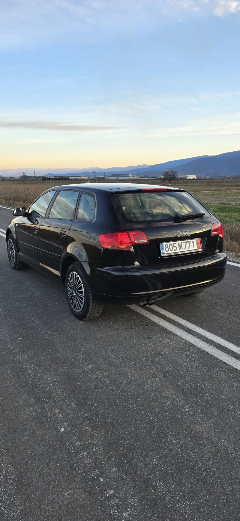 Audi A3 1.9 TDI, снимка 3 - Автомобили и джипове - 52938808