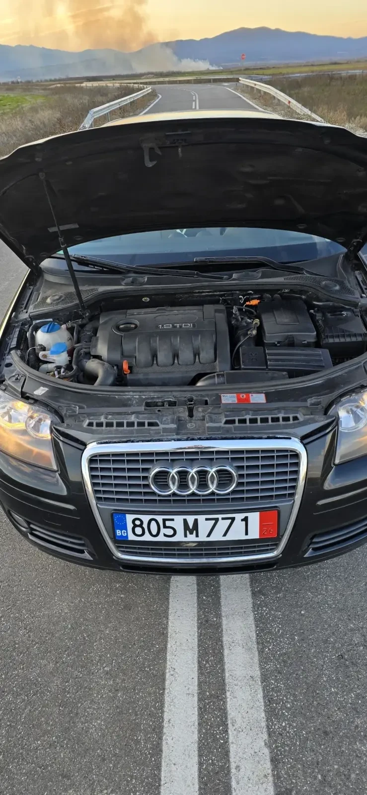 Audi A3 1.9 TDI, снимка 6 - Автомобили и джипове - 52938808