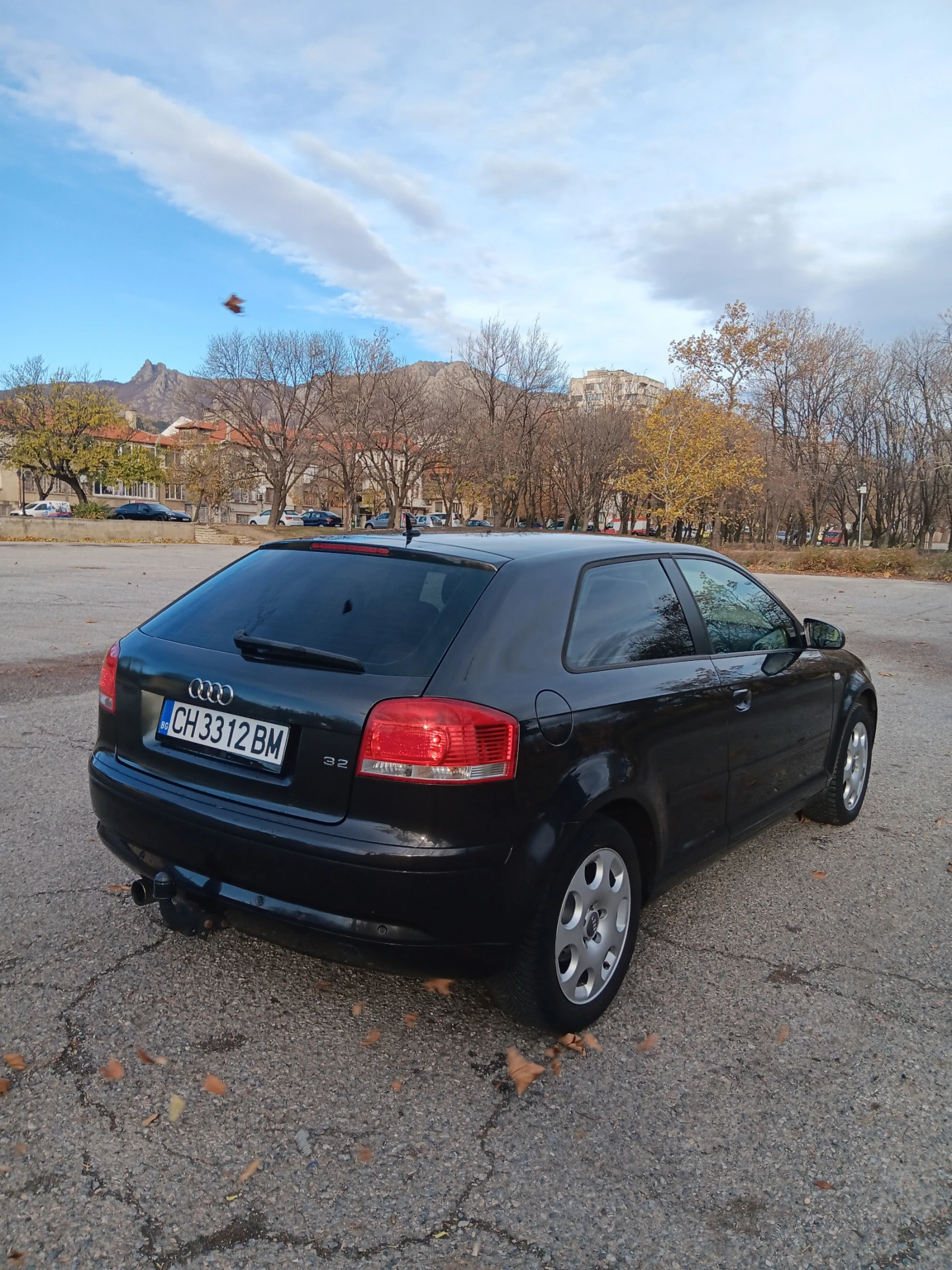 Audi A3 1.6i-102к.с-КУПЕ-РЕГИСТРИРАН-КОЖА-ТЕГЛИЧ - изображение 3