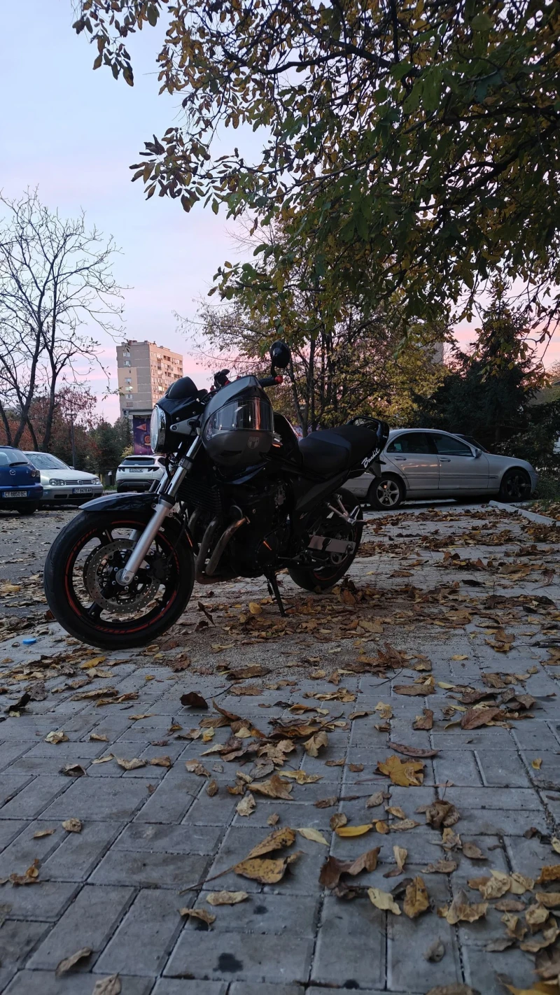 Suzuki Bandit 650 регистриран за А2 , снимка 5 - Мотоциклети и мототехника - 53488209