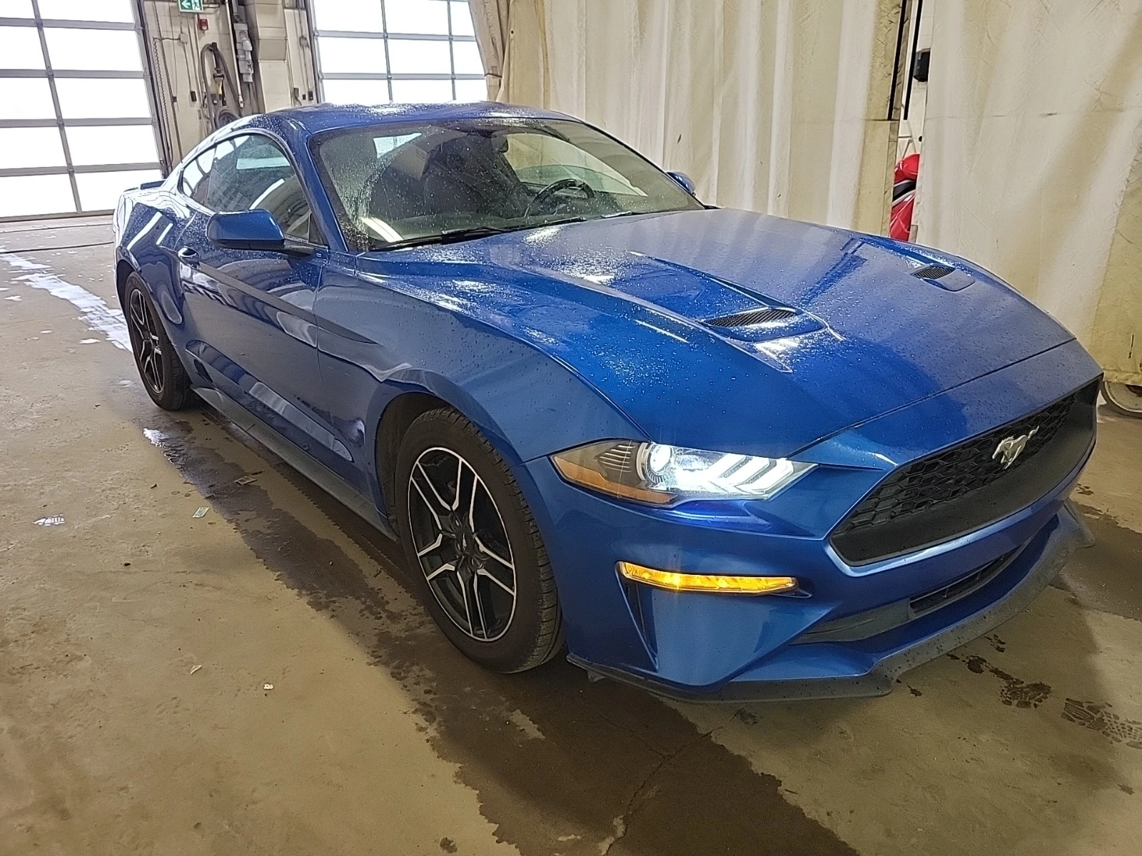 Ford Mustang * CARFAX * ВЪЗМОЖНОСТ ЗА АВТОКРЕДИТ - изображение 2