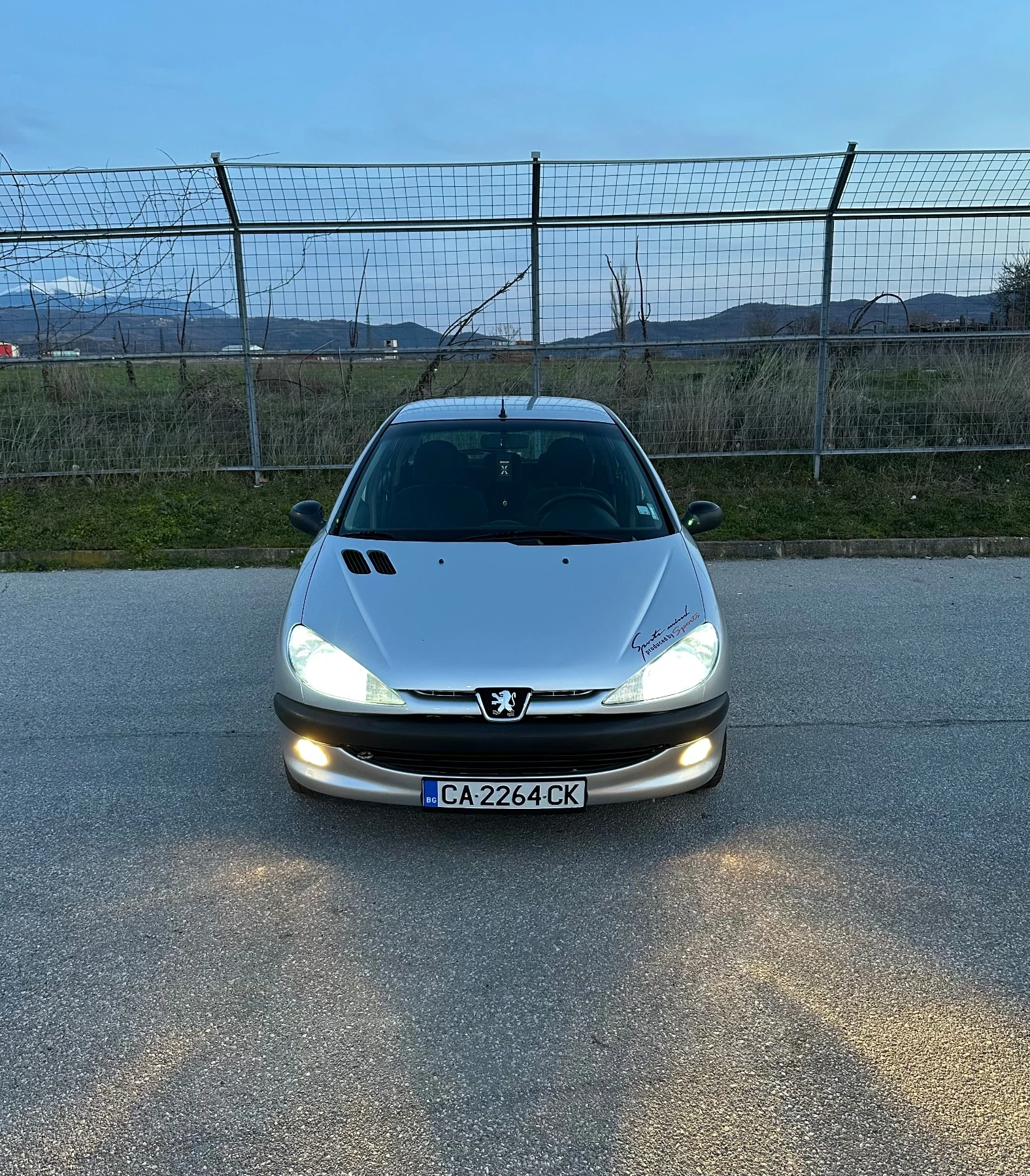 Peugeot 206 1100 - изображение 2