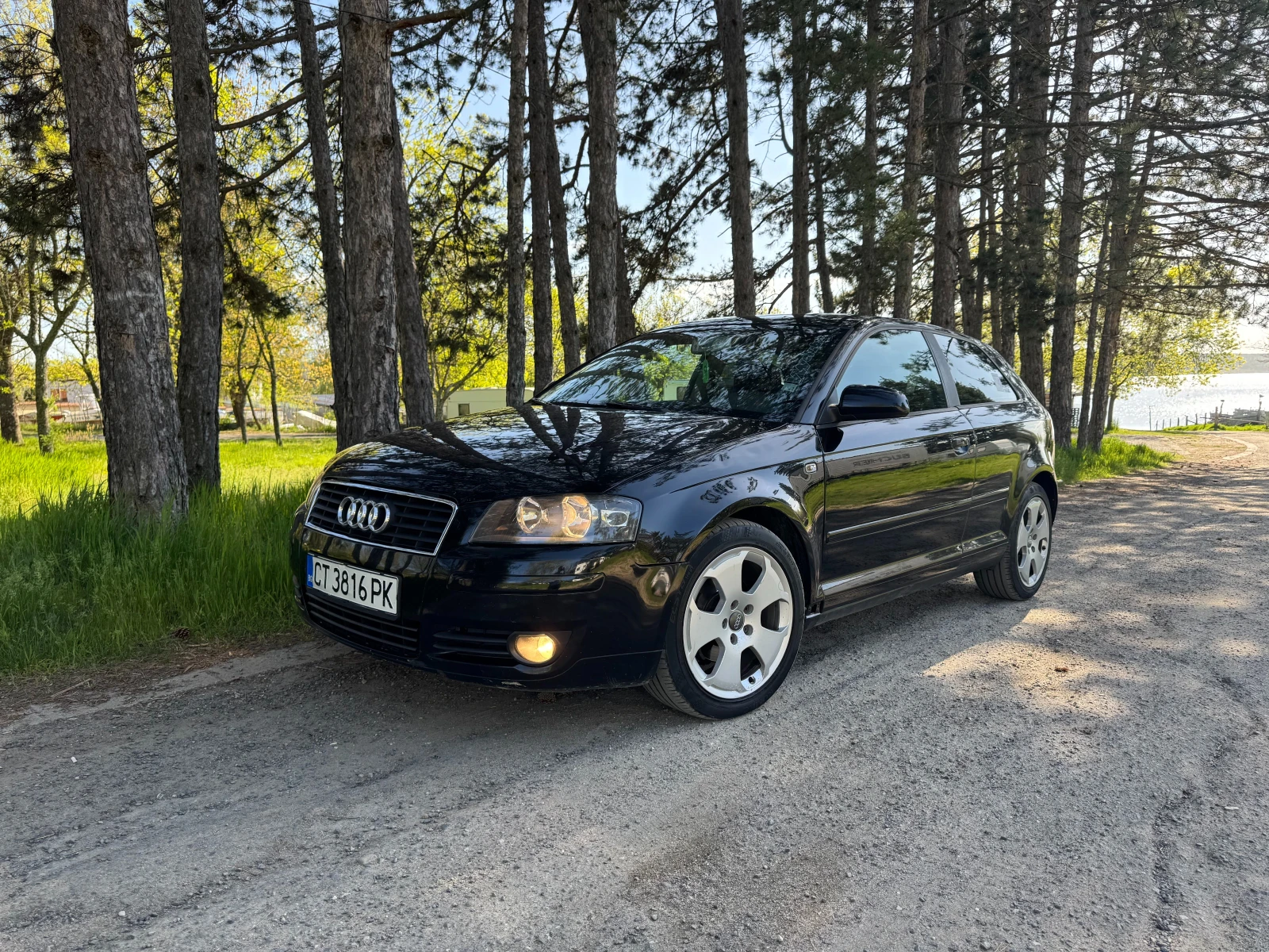Audi A3 1.9 TDI 105 BKC 8P