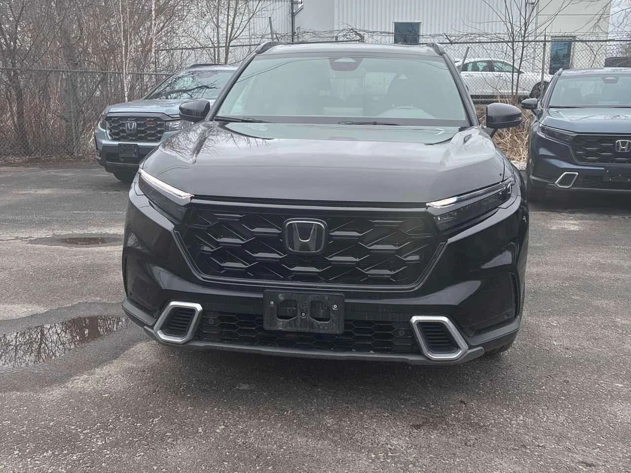 Honda Cr-v  Touring / BOSE / ПОДГРЕВИ , снимка 6 - Автомобили и джипове - 54078206