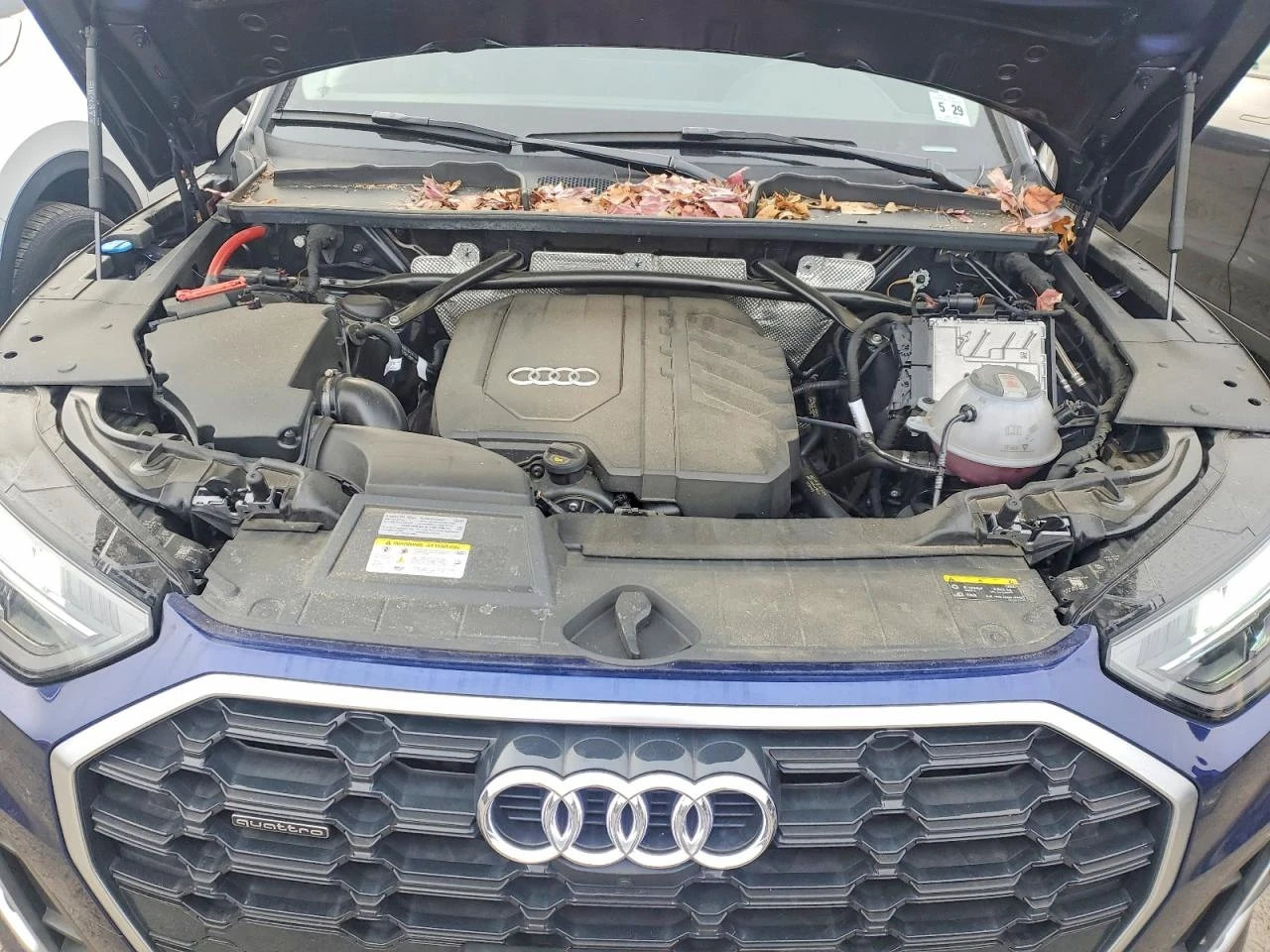 Audi Q5 PREMIUM PLUS | Mobile.bg � ����������� 12