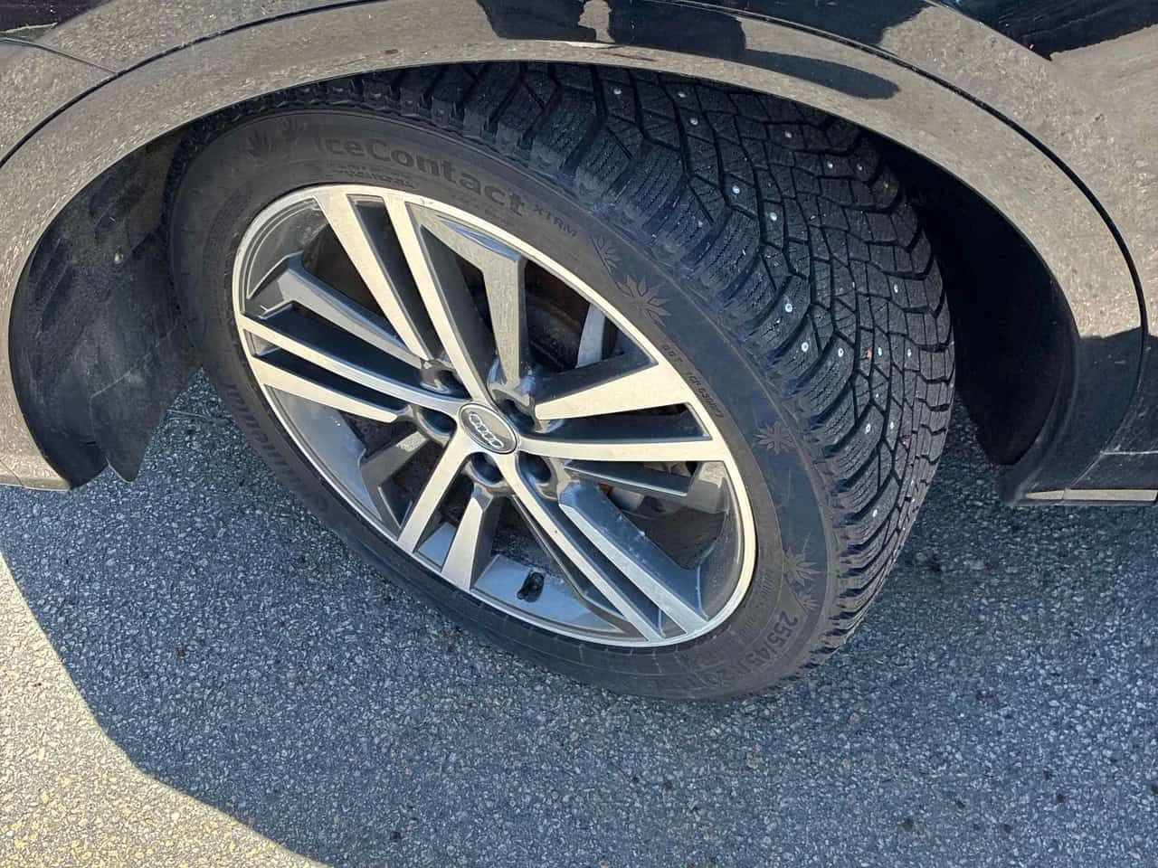 Audi Q5 | Progressiv | CARFAX | ПОДГРЕВ | , снимка 7 - Автомобили и джипове - 54780945