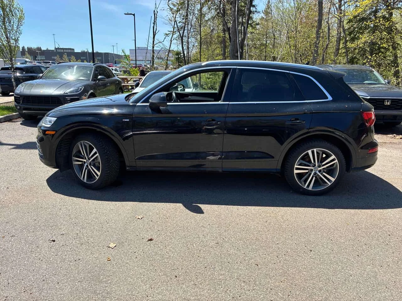 Audi Q5 | Progressiv | CARFAX | ПОДГРЕВ | , снимка 2 - Автомобили и джипове - 54780945