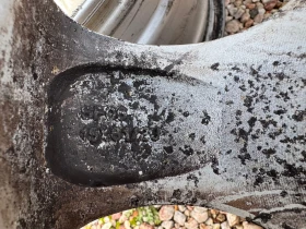 Джанти, снимка 7