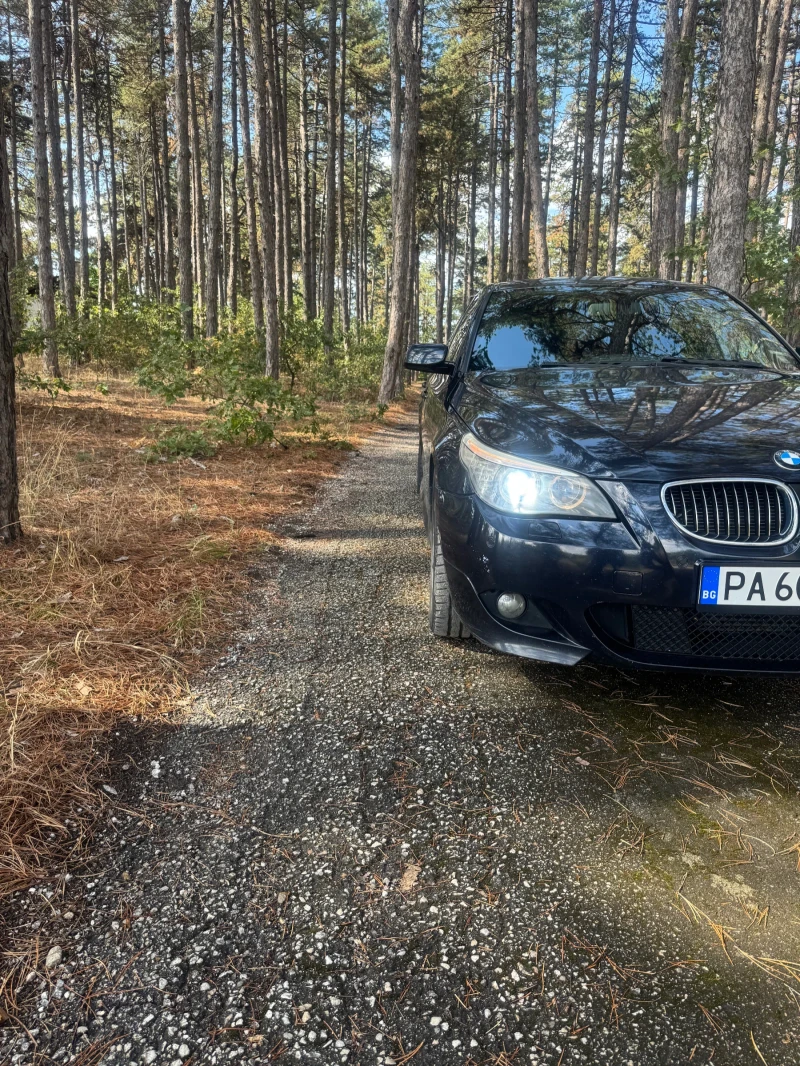 BMW 525, снимка 13 - Автомобили и джипове - 47555979