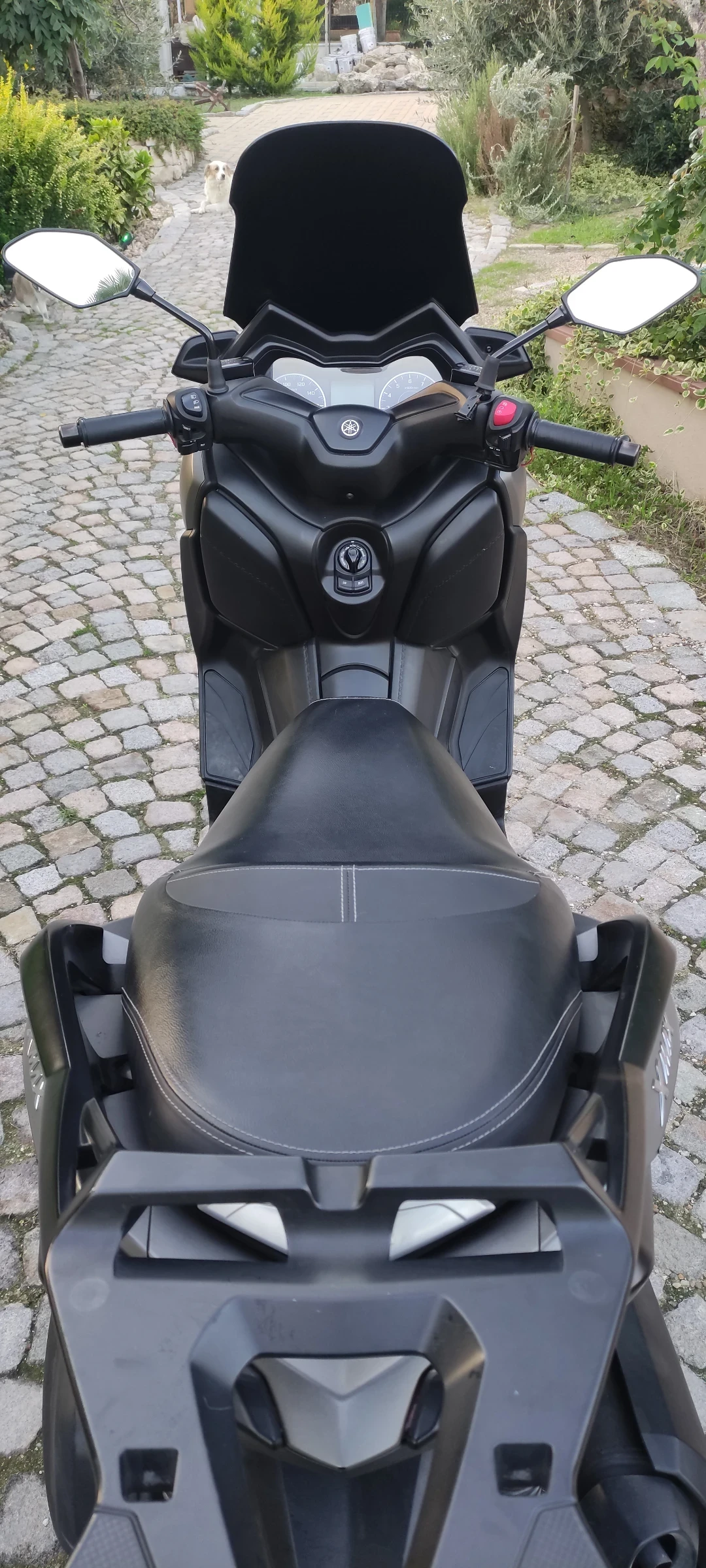 Yamaha X-max 300 ABS TC LED - изображение 3