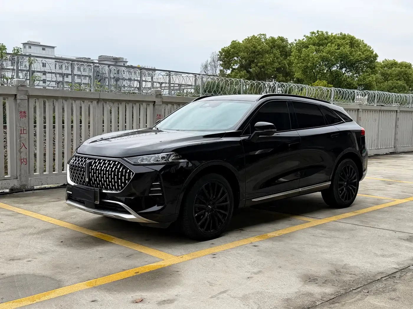 Wey 05 1.5T Zero-Anxiety Performance Edition* AWD* FULL